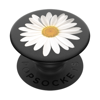 Secondary image for hover White Daisy