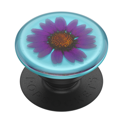 Secondary image for hover Pressed Flower Purply Daisy